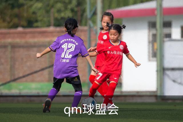 qm球盟会公司介绍图片